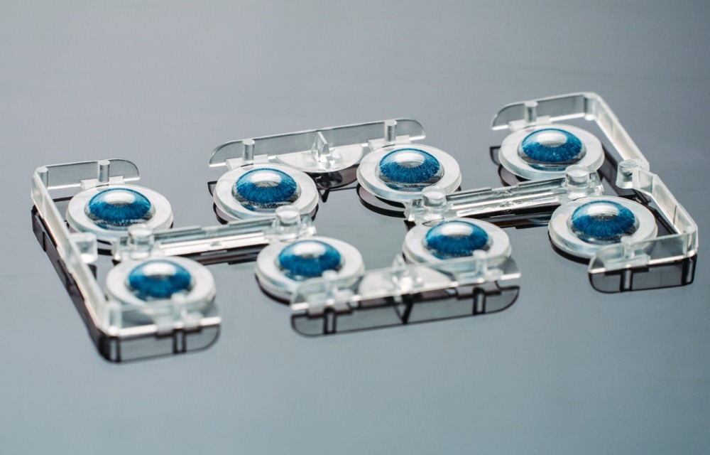 Vistakon coloured contacts